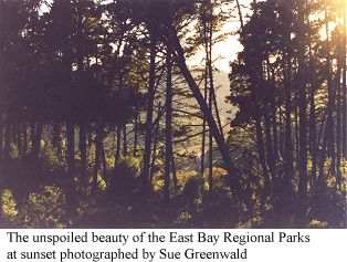 The unspoiled wilderness of the East Bay Regional Park at sunset photographed by Sue Greenwald