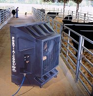 Animal Barns, cow barn
